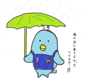 梅雨ぺんた