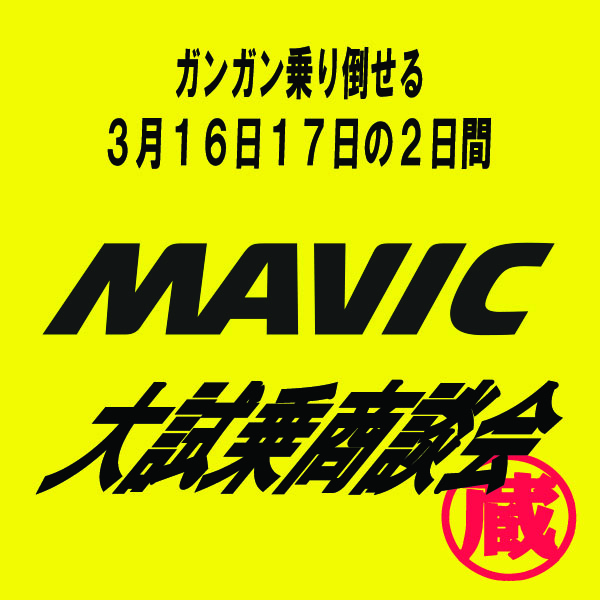 20190228MAVICå¤§è©¦ä¹åè«ä¼