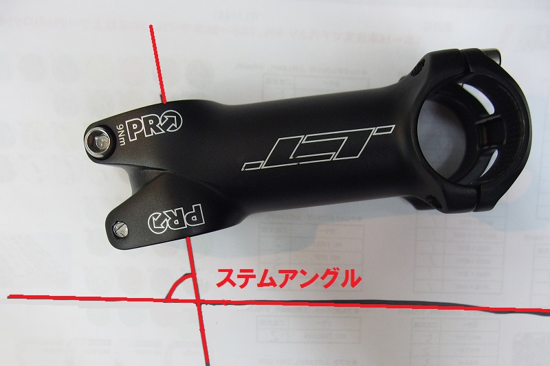 0519_ｽﾃﾑ選びP5195675_01