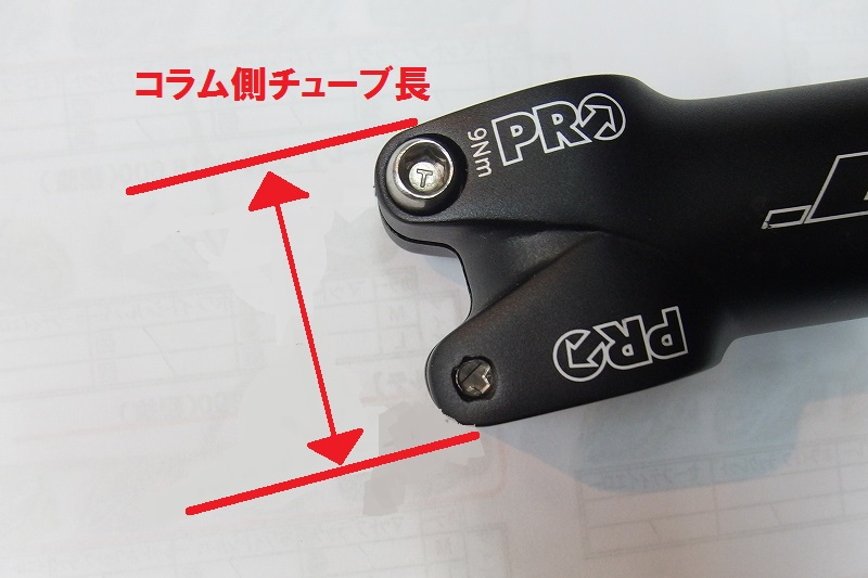 0519_ｽﾃﾑ選びP5195690_01