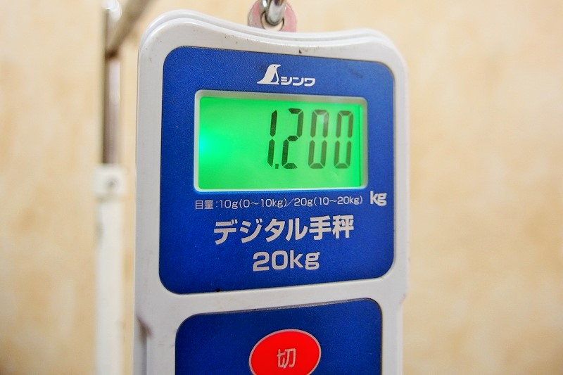 0511_EC90P5114990