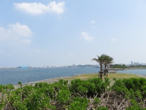 IMG_1857