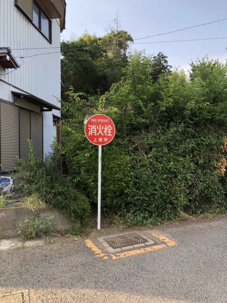 13 (4)