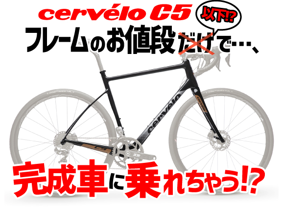 201021_サーベロC5バラ予約_t
