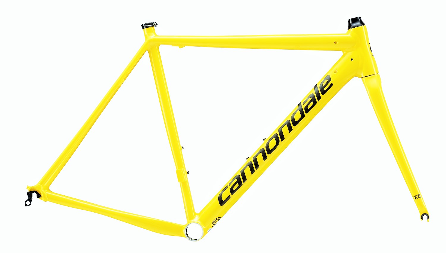 1125_CAAD12Colors_YEL