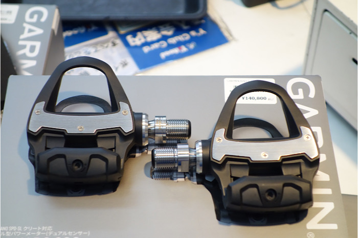 GARMIN RALLY RS