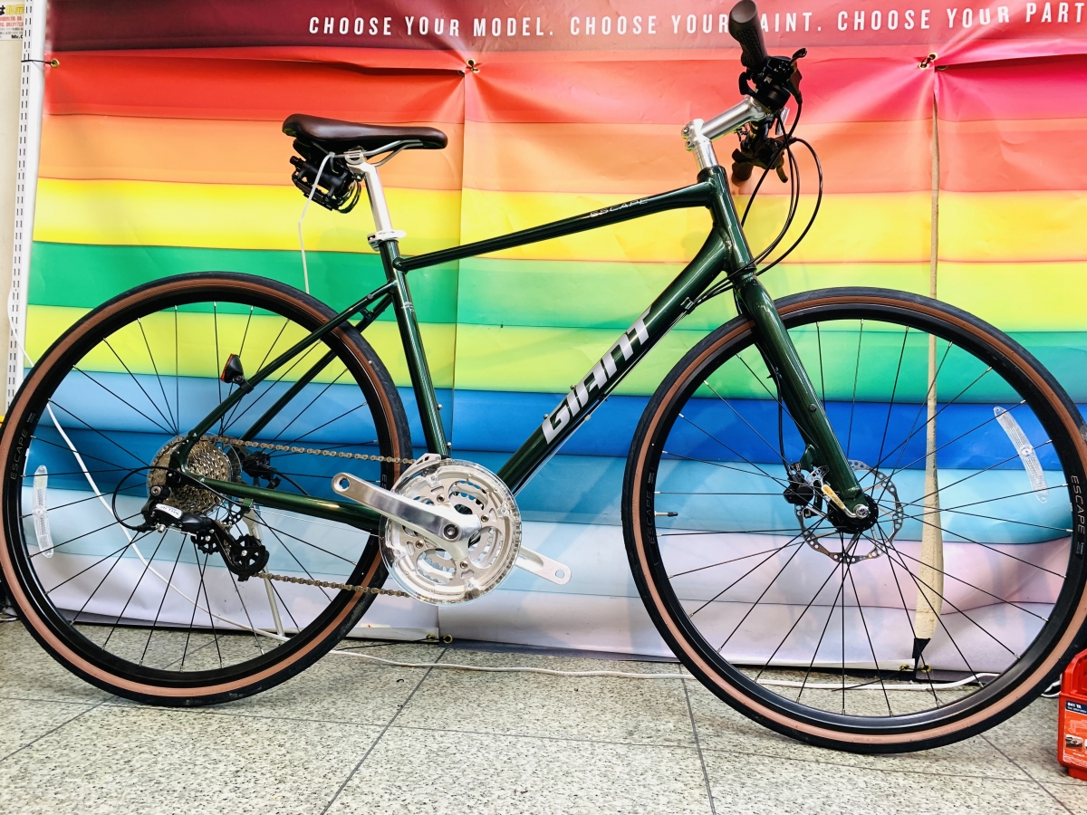 ESCAPE R DISC FOREST GRN