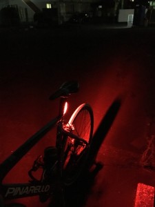 IMG_0190 (480x640)