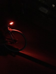 IMG_0196 (480x640)
