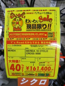 IMG_1736 (480x640)