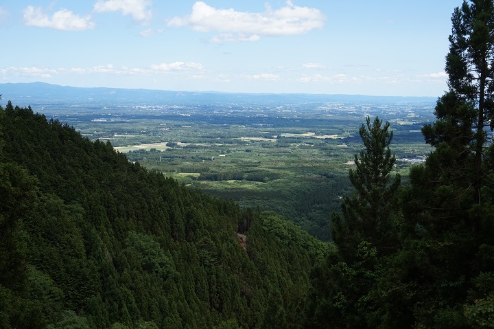 DSC01410