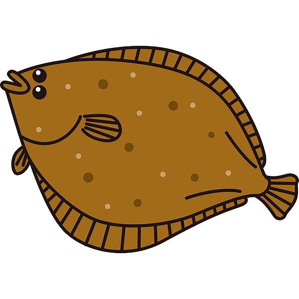 fish_13
