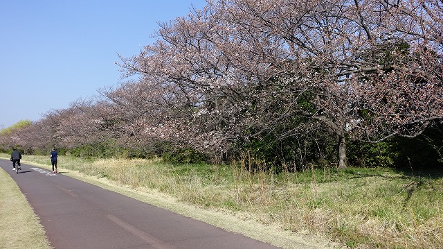 DSC05156
