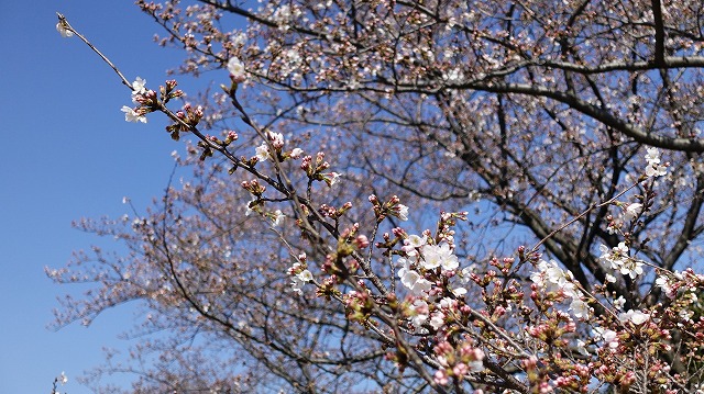 DSC05157