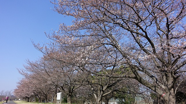DSC05160
