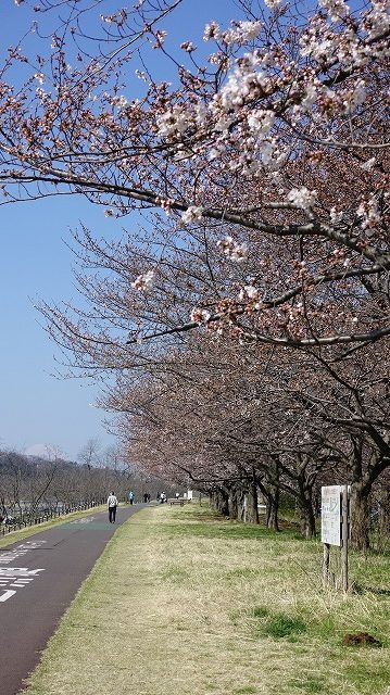 DSC05163