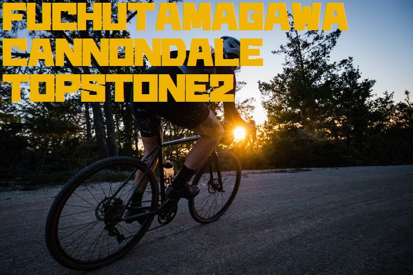 C19_Topstone_SantaCruz_1686