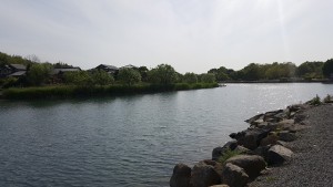 20170507_153442