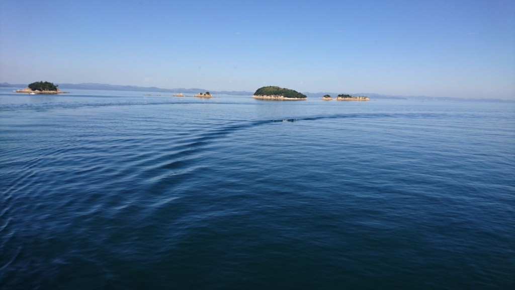 DSC_0207[1]