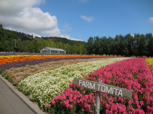 BWPM7646