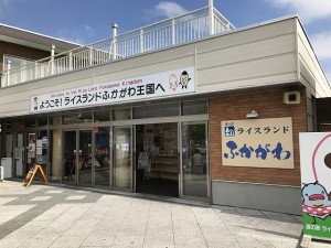 IMG_3585