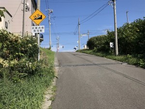IMG_3613