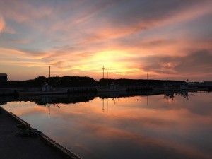 IMG_3619