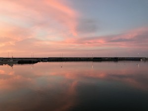 IMG_3620