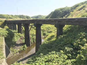 IMG_3648