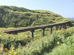 IMG_3649