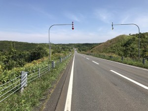 IMG_3655