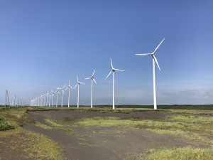 IMG_3668