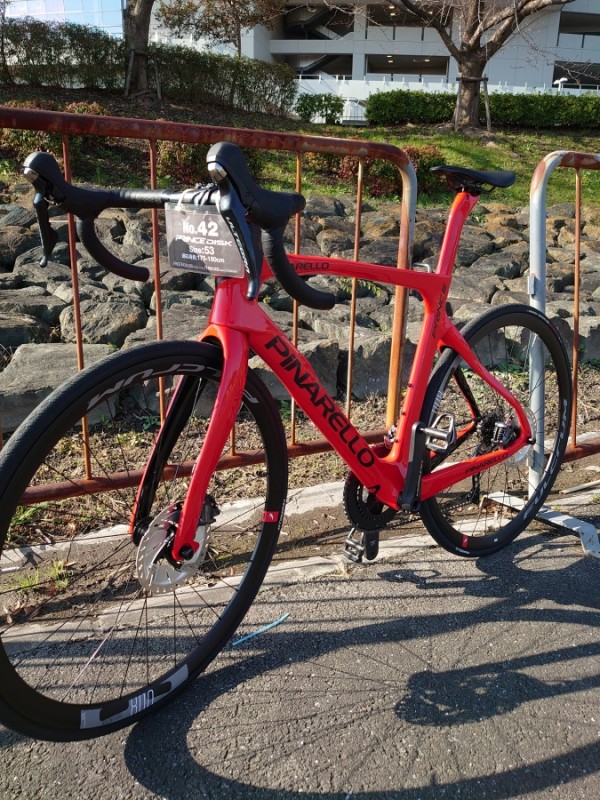 PINALRLLO PRINCE DISK