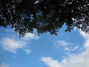 2015JBCF石川ロード-4