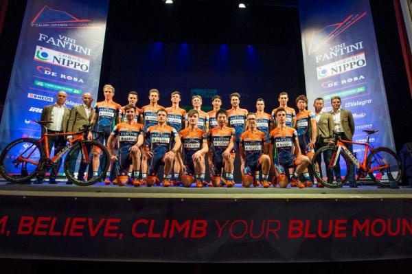 nippo team