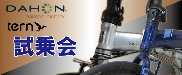 dahon_tern_s