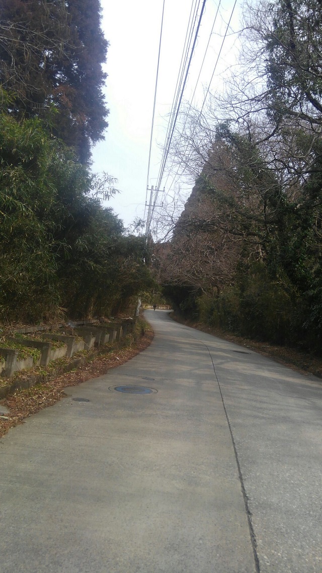 SR180225-main