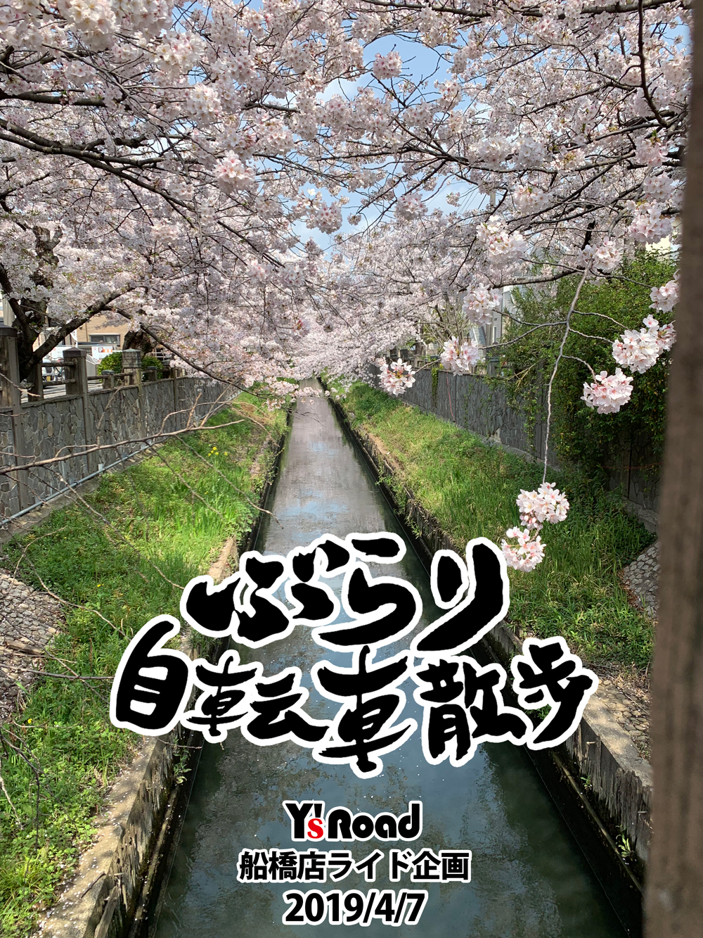 メイン_2