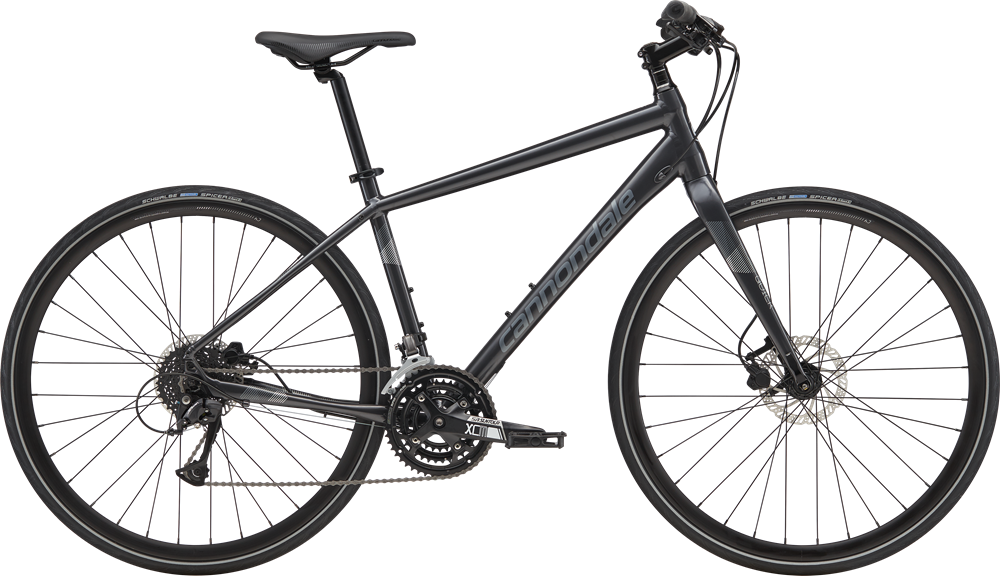Q4_DISC_GRA