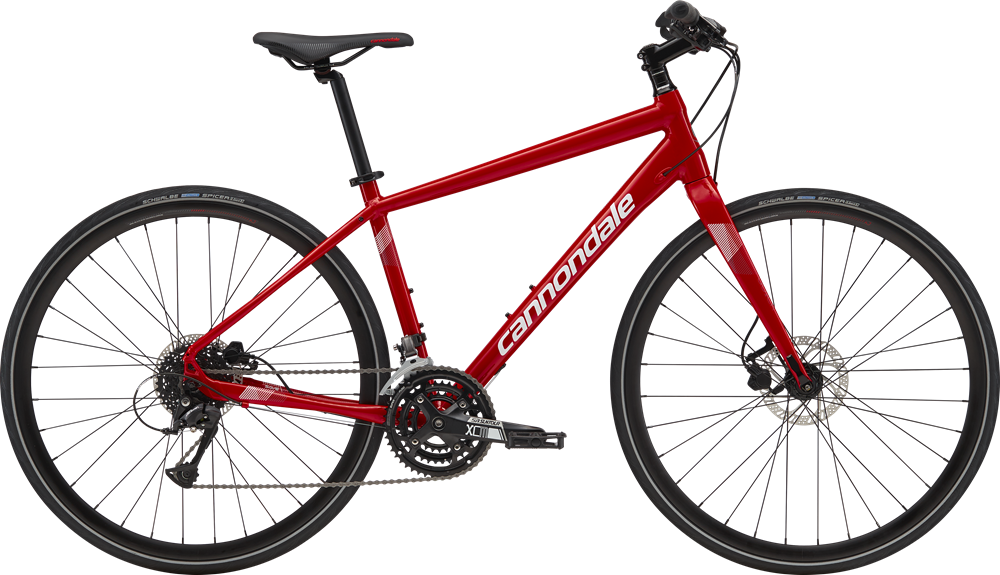 Q4_DISC_RED