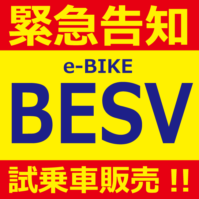besv_main7