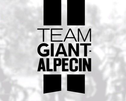 team logo