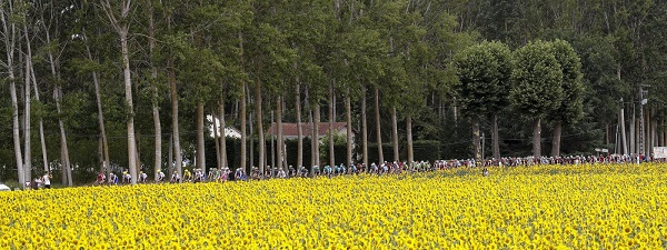 bettiniphoto_0292554_1_2000px