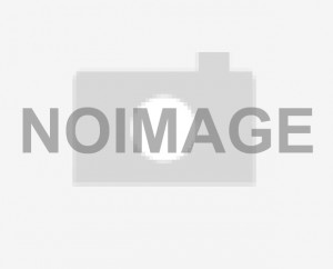 noimage