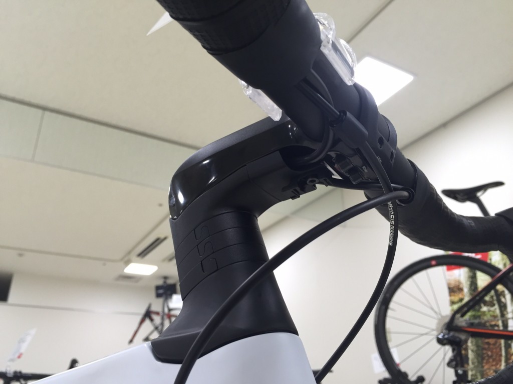 IMG_7008[1]