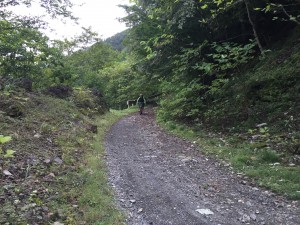 IMG_3871