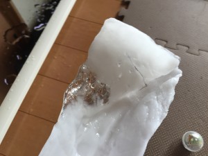 IMG_3896