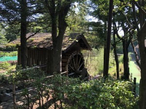 IMG_4142