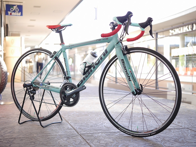 bianchi-fenice