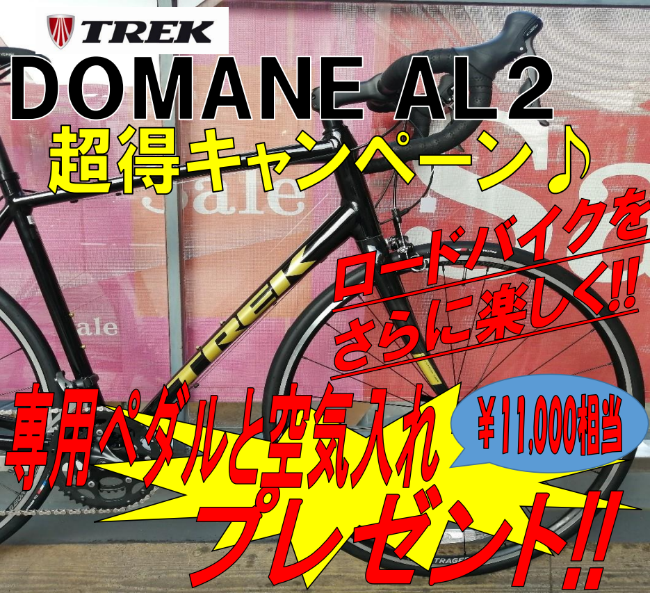 DOMANE AL2 キャンペーン